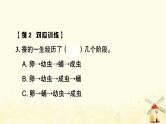 小升初科学训练专项复习专题2动物课件