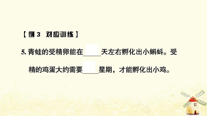 小升初科学训练专项复习专题2动物课件05