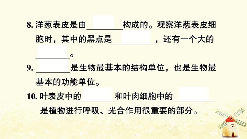 小升初科学专项复习训练专题3生物与环境和微小世界A卷课件04