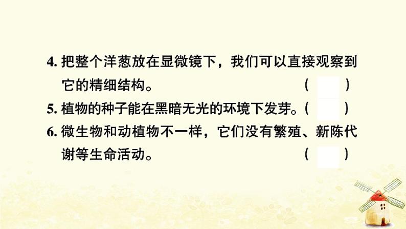 小升初科学专项复习训练专题3生物与环境和微小世界A卷课件06