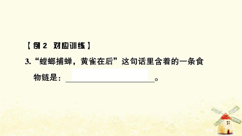 小升初科学专项复习训练专题3生物与环境和微小世界课件04