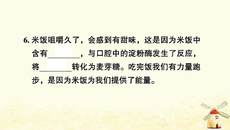 小升初科学专项复习训练专题5溶解和物质的变化A卷课件05