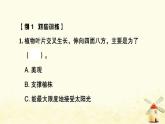 小升初科学训练专项复习专题1植物课件