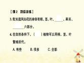小升初科学训练专项复习专题1植物课件