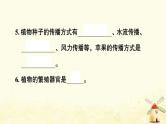 小升初科学专项复习训练专题1植物课件