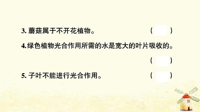 小升初科学专项复习训练专题1植物课件08