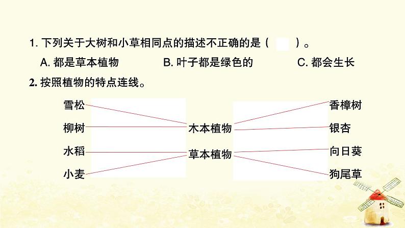 小升初科学生命科学专题一植物课件02