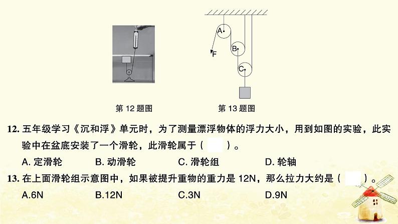 小升初科学归类冲刺卷第二部分模拟训练卷七课件07