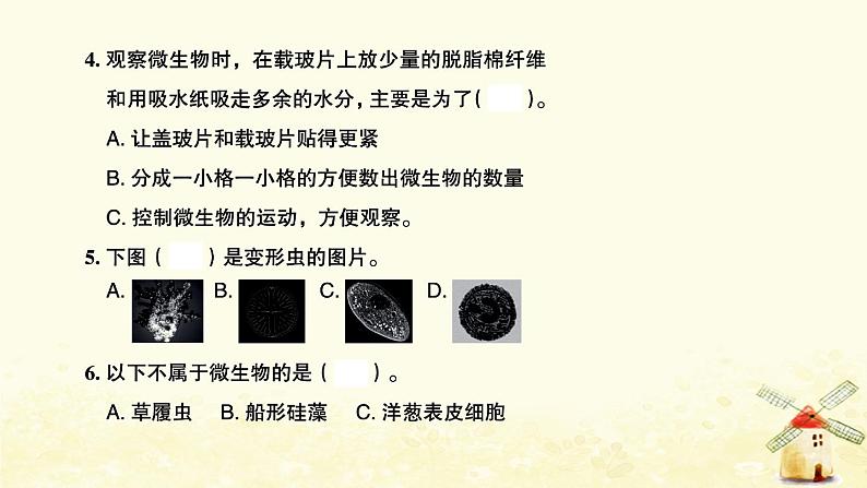 小升初科学生命科学专题训练3生物与环境和微小世界A卷课件第7页