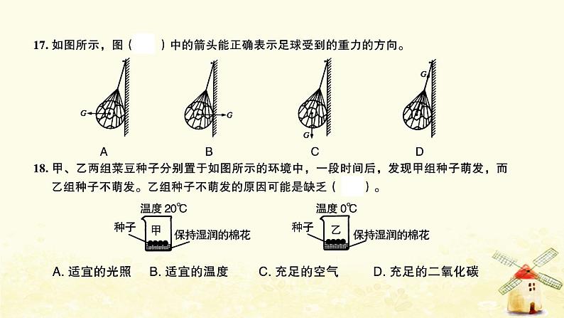 小升初科学归类冲刺卷第二部分模拟训练卷一课件07