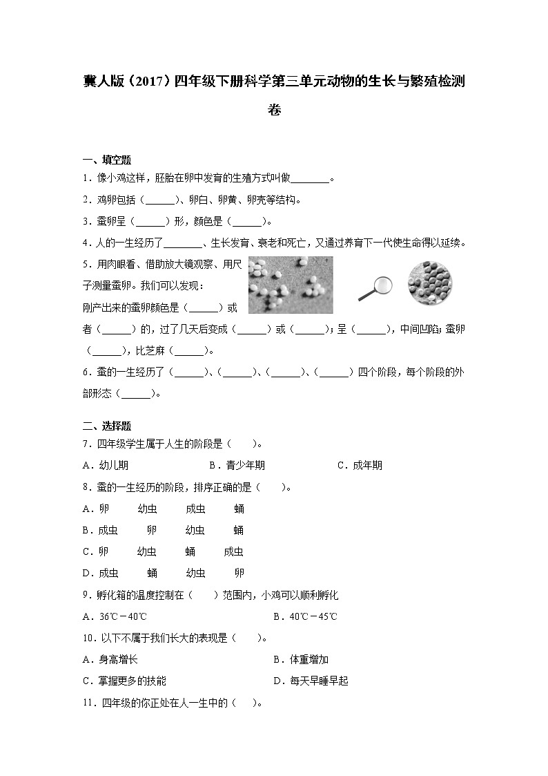 冀人版四年级下册科学第三单元动物的生长与繁殖检测试卷（含答案）01
