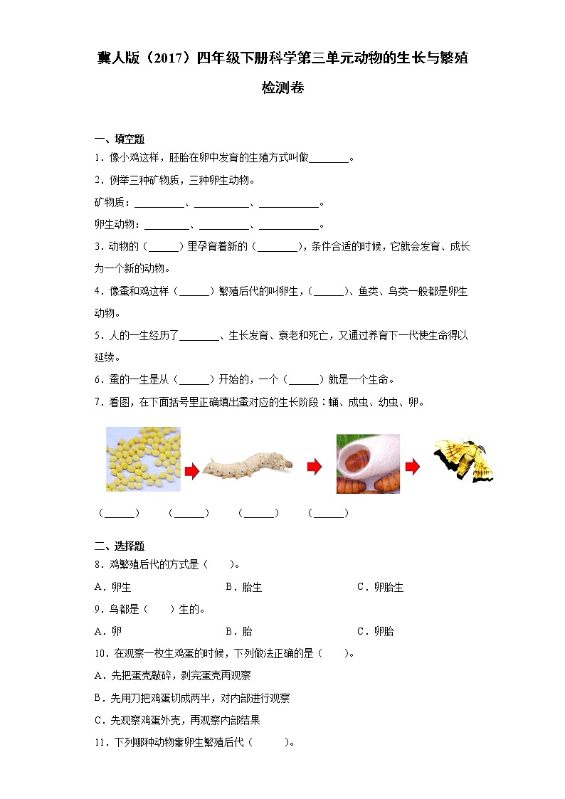 冀人版四年级下册科学第三单元动物的生长与繁殖检测题（含答案）第1页