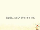 小升初科学专项复习训练专题3生物与环境和微小世界B卷课件