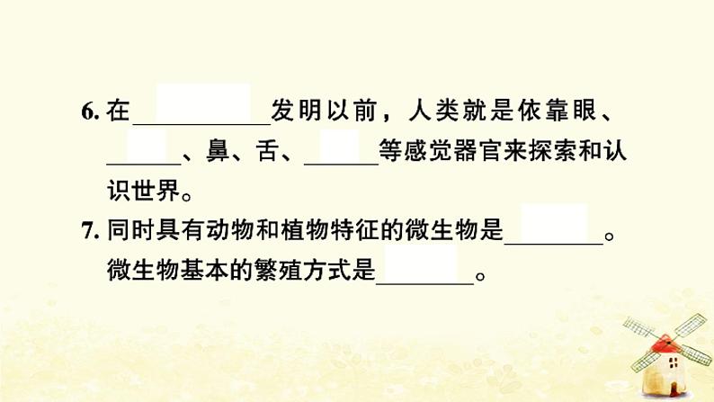 小升初科学专项复习训练专题3生物与环境和微小世界B卷课件第4页