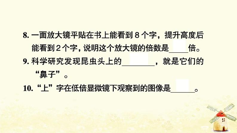 小升初科学专项复习训练专题3生物与环境和微小世界B卷课件05