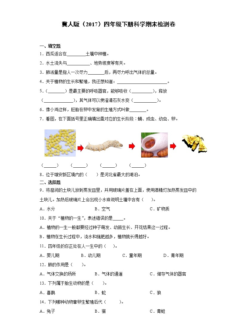 冀人版四年级下册科学期末检测试卷（含答案）第1页