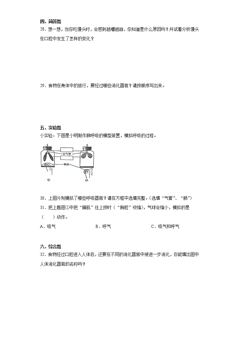 冀人版四年级下册科学第四单元爱护身体检测题（含答案）第3页