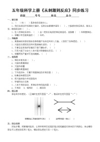 科学五年级上册18 从刺激到反应精练