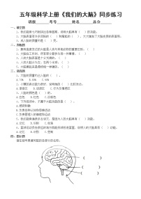 小学科学苏教版 (2017)五年级上册19 我们的大脑课堂检测