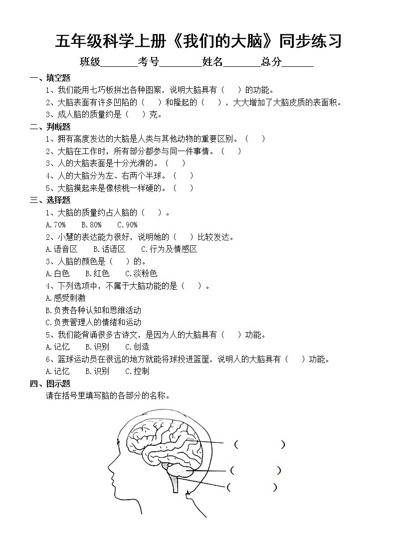 新苏教版科学五上第五单元第19课《我们的大脑》同步练习（附答案）01