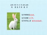 湘科版（2017秋）科学二年级上册 2.1 观察兔子的反应_（课件）