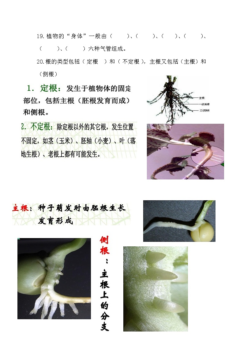 湘教版三年级下册科学期末复习第3页