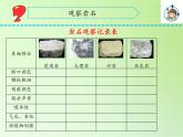 苏教版（2017秋）四年级上册科学 16 常见的岩石（课件）