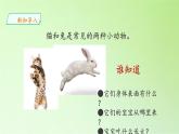 苏教版（2017秋）四年级上册科学 4 哺乳类（课件）