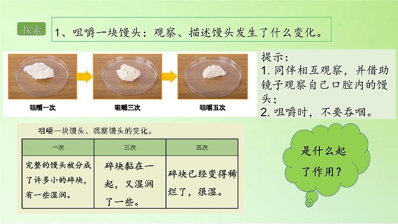 教科版（2017秋）四年级上册  2.7 食物在口腔里的变化（课件）第4页