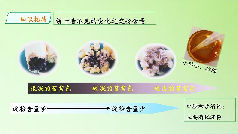 教科版（2017秋）四年级上册  2.7 食物在口腔里的变化（课件）第7页