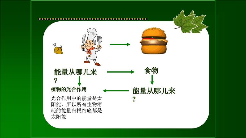 人教版六年级科学上册1.2能量从哪里来 课件02