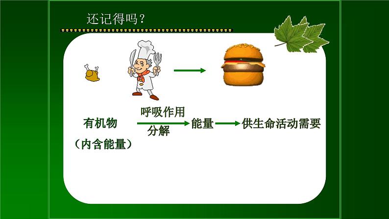 人教版六年级科学上册1.2能量从哪里来 课件03