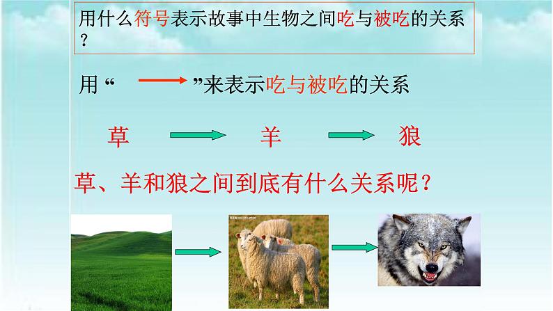 人教版六年级科学下册2.3有趣的食物联系  课件02