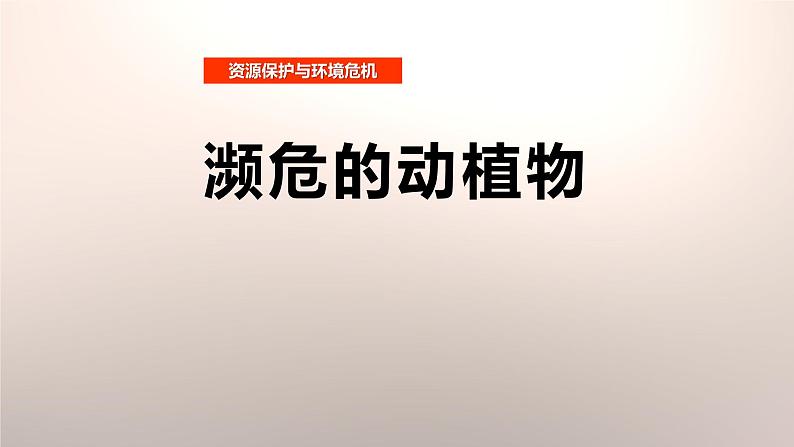 人教版六年级科学下册3.1濒危的动植物  课件01