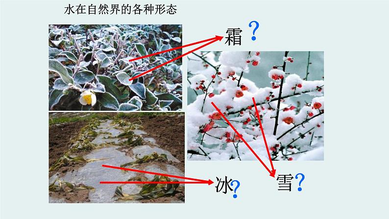 人教版五年级科学下册1.1水的变化  课件03