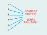 人教版五年级科学下册1.1水的变化  课件