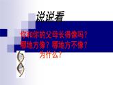 人教版五年级科学下册  2.4  遗传与变异   课件