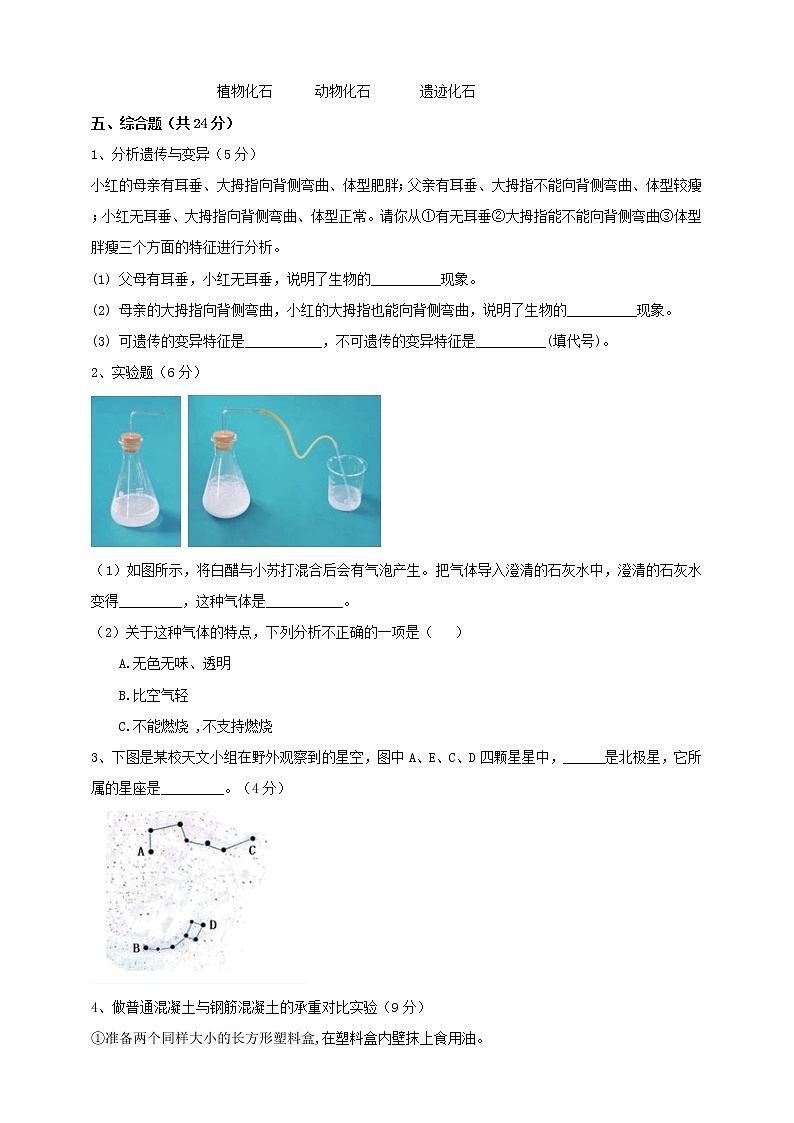 苏教版科学六年级上第一学期期末考试卷（含答案）03