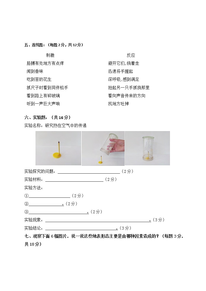 新苏教版五年级上册期末测试卷（含答案）第3页