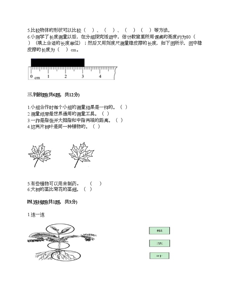 期末测试卷四（试题）-2021-2022学年科学一年级上册-部编版（含答案）第3页