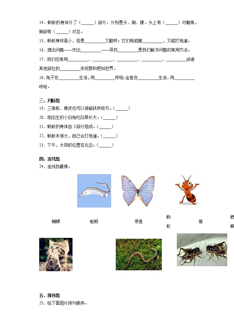 2021-2022学年度大象版（2017）一年级上册科学期末复习综合检测B卷（含答案）第2页