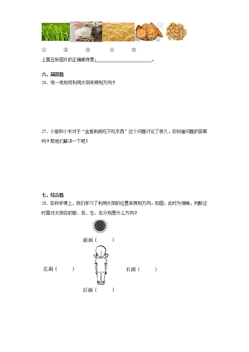 2021-2022学年度大象版（2017）一年级上册科学期末复习综合检测B卷（含答案）第3页