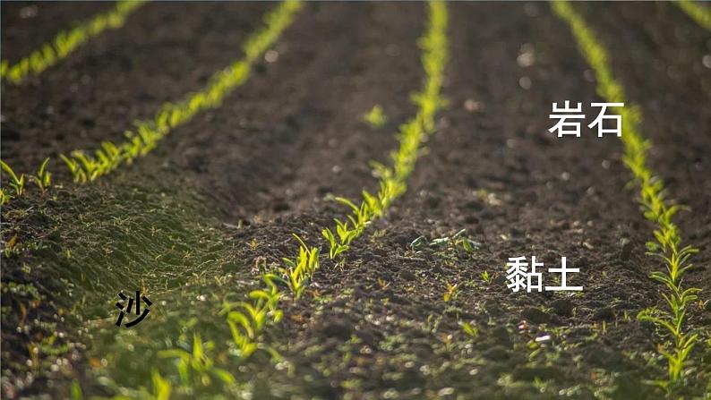 3.5《岩石、沙和黏土》课件+素材（送教案）01