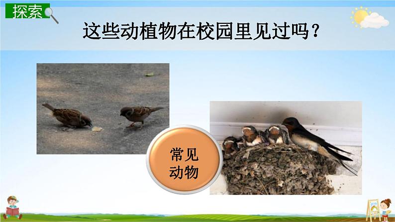 校园生物大搜索PPT课件免费下载05