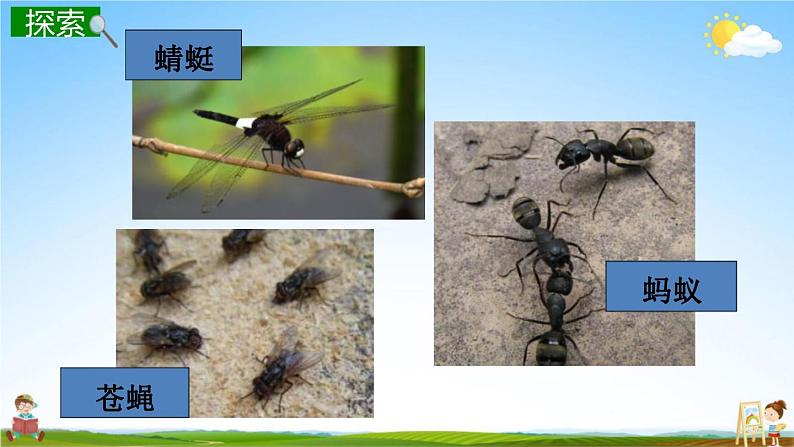 校园生物大搜索PPT课件免费下载06