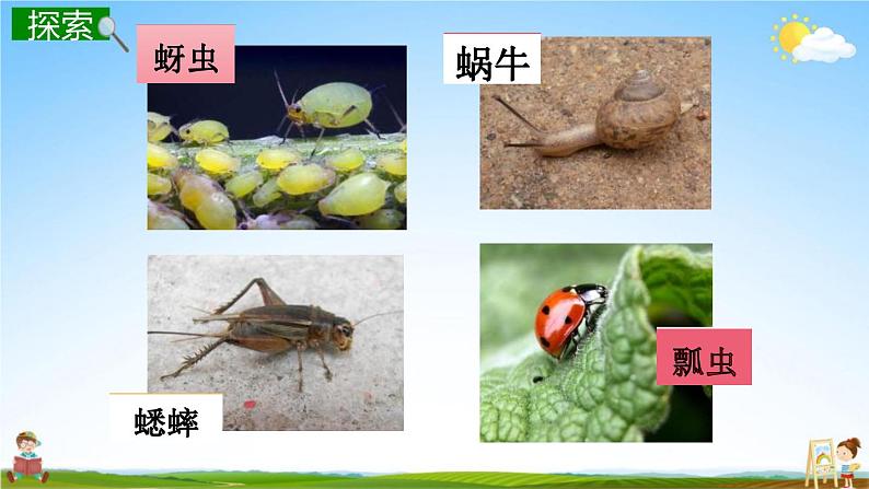 校园生物大搜索PPT课件免费下载08