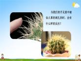 教科版五年级科学上册《第5课时 身体的联络员》教学课件PPT小学公开课
