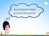 教科版五年级科学上册《第5课时 身体的联络员》教学课件PPT小学公开课