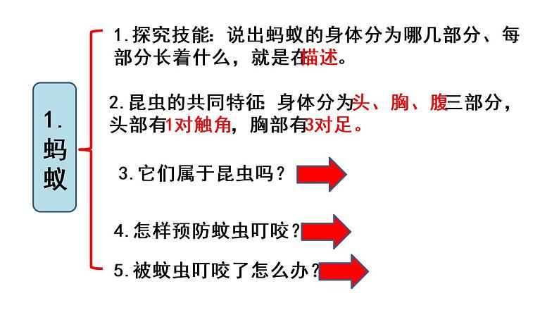 青岛版小学科学四年级上册第一单元《动物王国》复习课课件PPT06