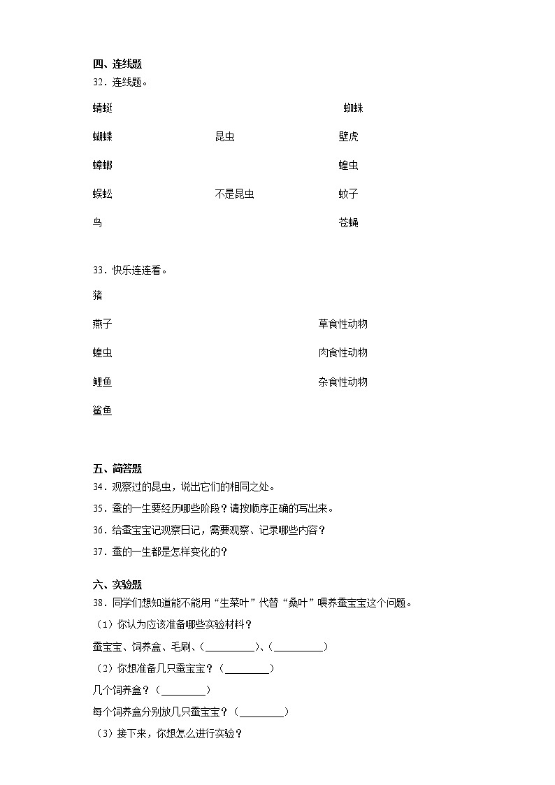 苏教版四年级下册科学第三单元昆虫检测卷（一）（含答案）03